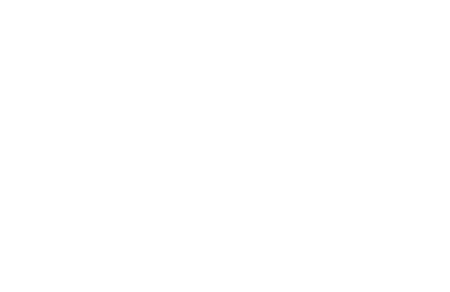 Old Wolf Company
